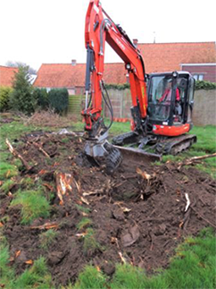 Verwijderen boomwortels